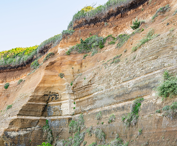 画像：サンプル